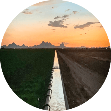 industry-Helix IoT in Agriculture-image